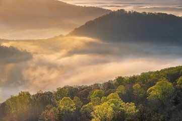 USA, Tennessee, Great Smokey Mountains National Park. Sunrise on foggy mountains and forest.