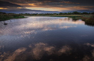 USA, New Jersey, Cape May National Seashore. Sunrise on marsh wetland.