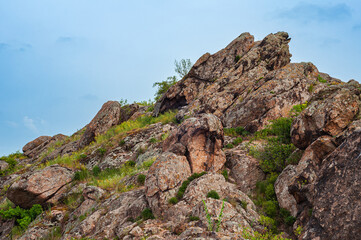 A rugged rocky peak with intricate textures stands tall against a vibrant blue sky. In the crevices of the rock, patches of green grass, wildflowers, and small shrubs add life to the dramatic