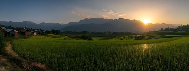 Naklejka premium The most beautiful sunset over the rice terraces 