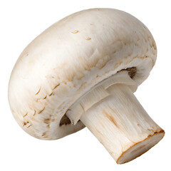 A fresh button mushroom with a smooth, white cap and a sturdy stem. AI Generative