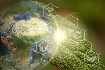 Water drop on fresh green plant leaf