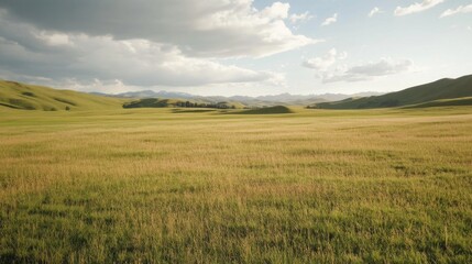 Obraz premium Rolling hills grassland landscape, summer sunlight, scenic view, nature background, travel photography