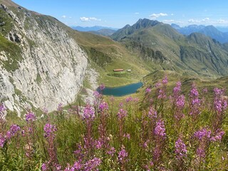Friuli Carnia Paluzza - Pramosio