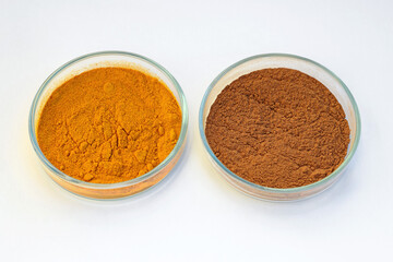 Turmeric powder and cinnamon powder in a petri dish, white background