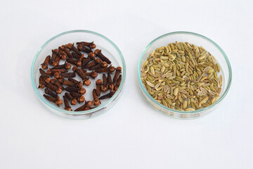 Dried cloves and fennel in a petri dish, white background