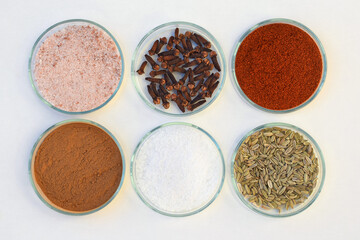 Various spices and salt in a petri dish, white background