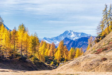 autumnal mountain landscape inside the Alpe Devero, Val D'Ossola, Verbania, Italia