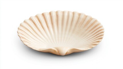 Shell with curved ridges and smooth interior On White background