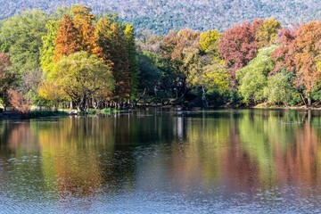 Colors of autumn reflected in a tranquil lake surrounded by vibrant trees in a natural landscape