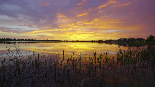 Evening landscape over lake water in southern tropical wetlands. Amazing Florida nature at sunset
