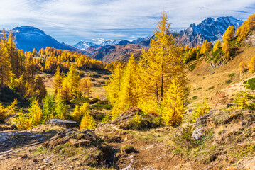 autumnal mountain landscape inside the Alpe Devero, Val D'Ossola, Verbania, Italia