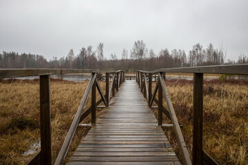 Naklejka premium Wooden walkway or boardwalk through a marshy or wetland landscape.