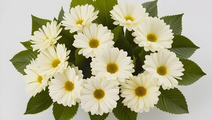 close-up of pristine white flowers arranged in a soft composition for use in peaceful or floral designs