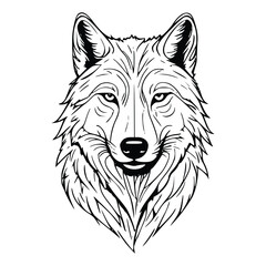 vector illustration of wolf