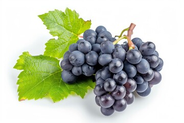 Fototapeta premium Ripe black grapes with fresh green leaves create a vibrant display against a clean white backdrop