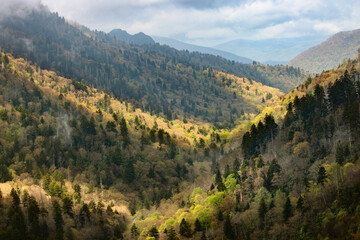 Fototapeta premium Deep valley in spring, Great Smoky Mountains National Park, Tennessee