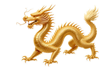 Fototapeta premium gold dragon ,Chinese zodiac, isolated white background
