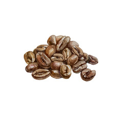 Obraz premium Coffee beans roasted and aromatic. Hand drawn watercolor illustration of brown Arabica isolated. Drink labels, packages, menus, covers, cafe banners.