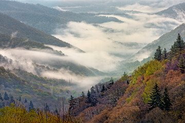 Fototapeta premium Morning spring view of Oconaluftee Valley with rising mist, Great Smoky Mountains National Park, North Carolina