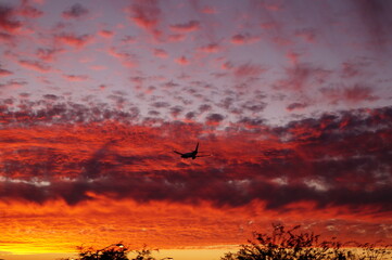 atardecer, cielo, nube, anaranjada, nube, rojo,