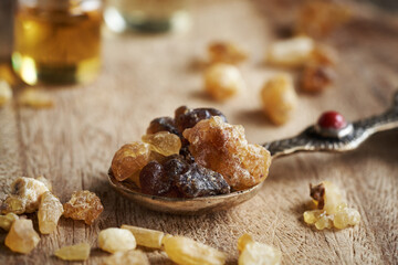 Frankincense or boswellia resin on a spoon