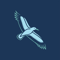 seagull in the blue sky
