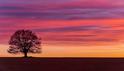 거대한 노을빛 하늘 아래, 구불구불한 나무 한 그루가 서 있는 실루엣