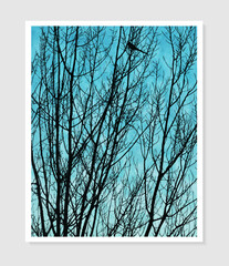 Tree branches silhouette in winter forest. Poplar black trunk and branches with bird on background of blue sky. Poster with trees silhouette pattern and watercolor texture, vector illustration