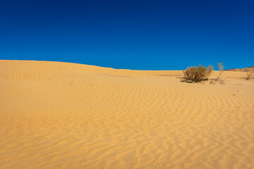 Landscape of the sand dunes of the Kyzylkum Desert,  Uzbekistan