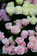 bouquet of roses