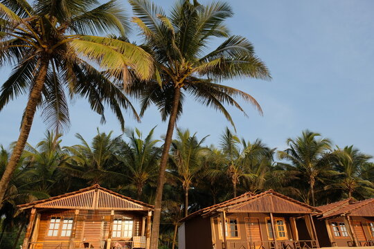 Wooden beach huts with palm trees in the background under a clear blue sky