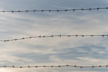 barbed wire fence