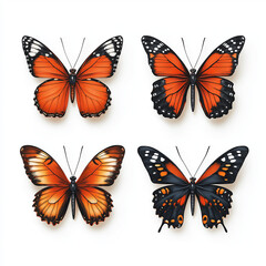 Obraz premium Lebendige Schmetterlinge in leuchtendem Orange und Schwarz