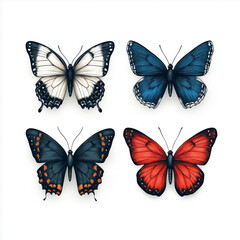 Obraz premium Lebendige Schmetterlinge in leuchtendem Orange und Schwarz