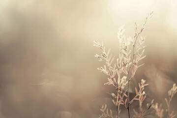 close up horizontal image of a small tree branch, blurred bokeh background, copy space
