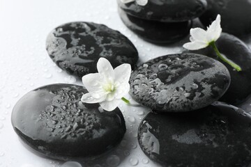 Wet spa stones and beautiful flowers on white background, closeup