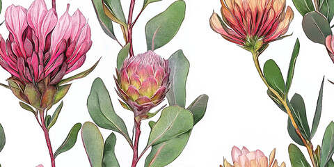 Seamless Vector pattern with Tropical exotic pink protea flowers in tropical leaves. Botanical African flowers on white background
