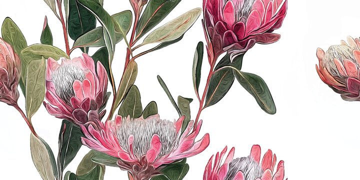 Seamless Vector pattern with Tropical exotic pink protea flowers in tropical leaves. Botanical African flowers on white background
