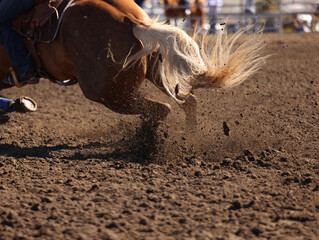 Great actions close up photo of a barrel racing horse.