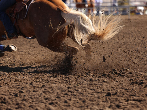 Great actions close up photo of a barrel racing horse.