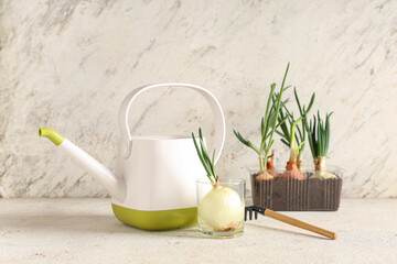 Glass with cultivated green onion, watering can and gardening rake on white table