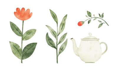 Minimalist Watercolor Illustration of Plants and a Teapot in a Botanical Theme