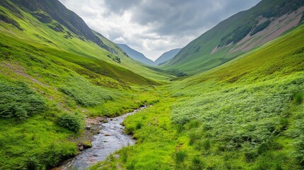 Naklejka premium Serene Green Valley with Stream and Cloudy Sky at Dusk