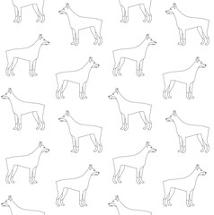 Vector seamless pattern of flat hand drawn outline doberman dog isolated on white background