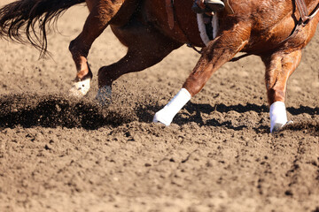 Great actions close up photo of a barrel racing horse.