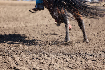 Great actions close up photo of a barrel racing horse.