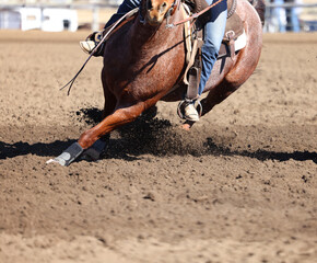 Great actions close up photo of a barrel racing horse.
