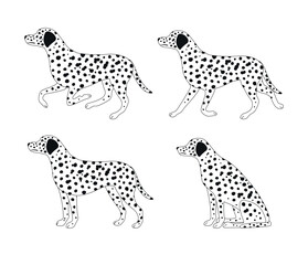 Vector set of flat hand drawn outline dalmatian dog isolated on white background