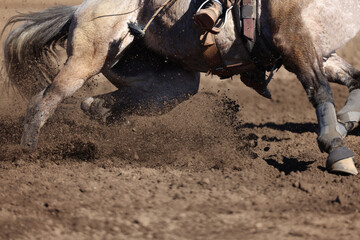 Great actions close up photo of a barrel racing horse.
